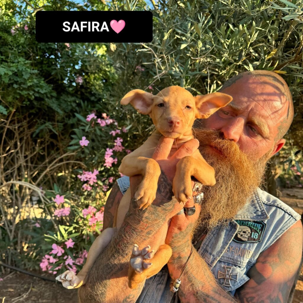 SAFIRA