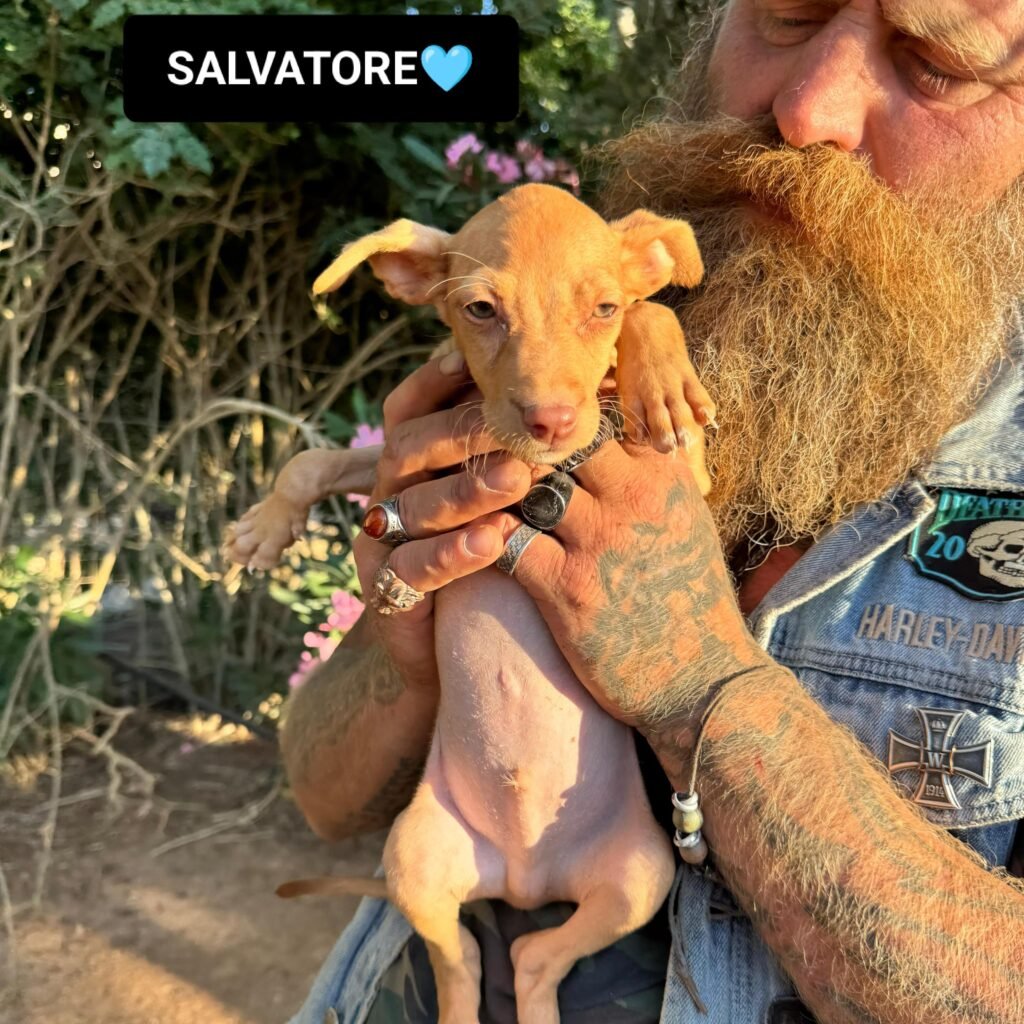 SALVATORE