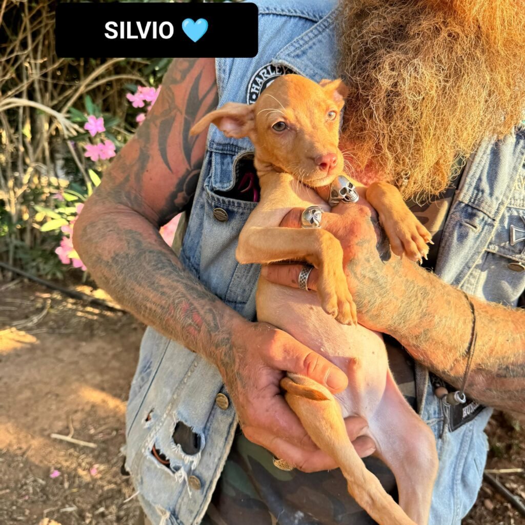 SILVIO