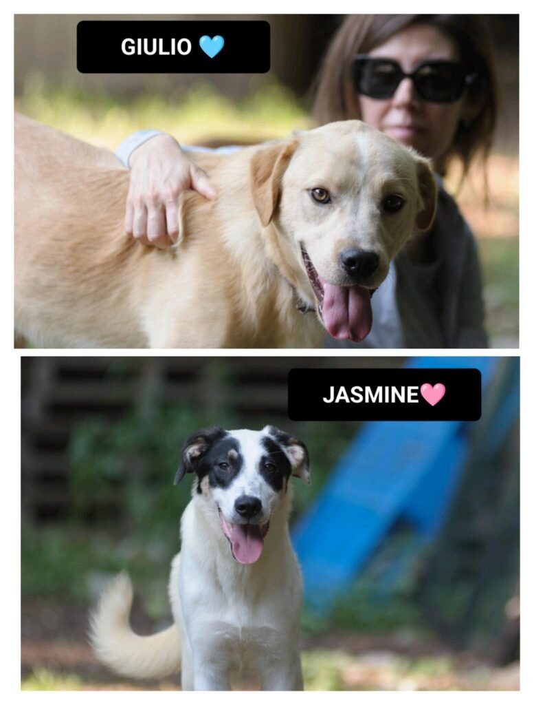 JASMINE e GIULIO