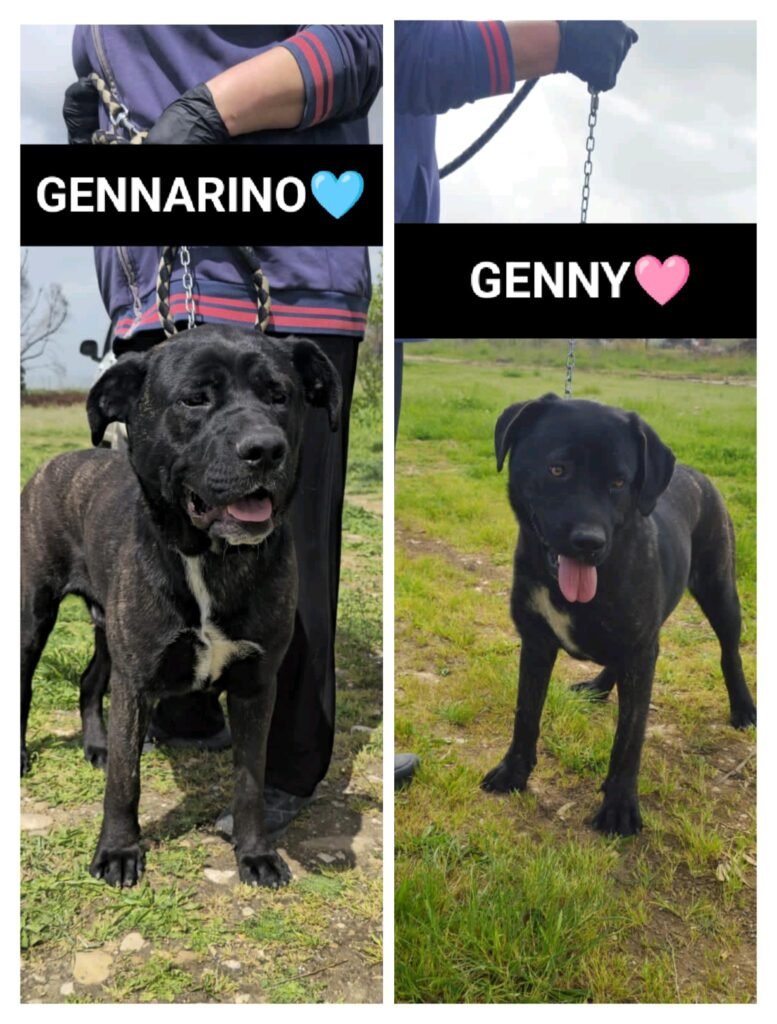 GENNY e GENNARINO