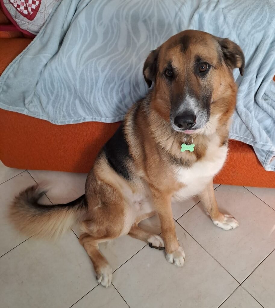 ACHILLE