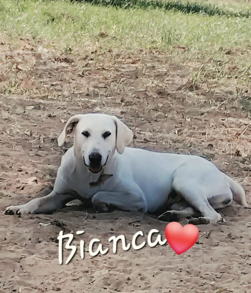 BIANCA