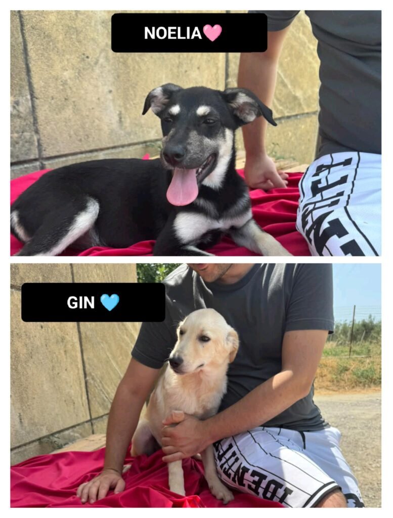 NOELIA e GIN