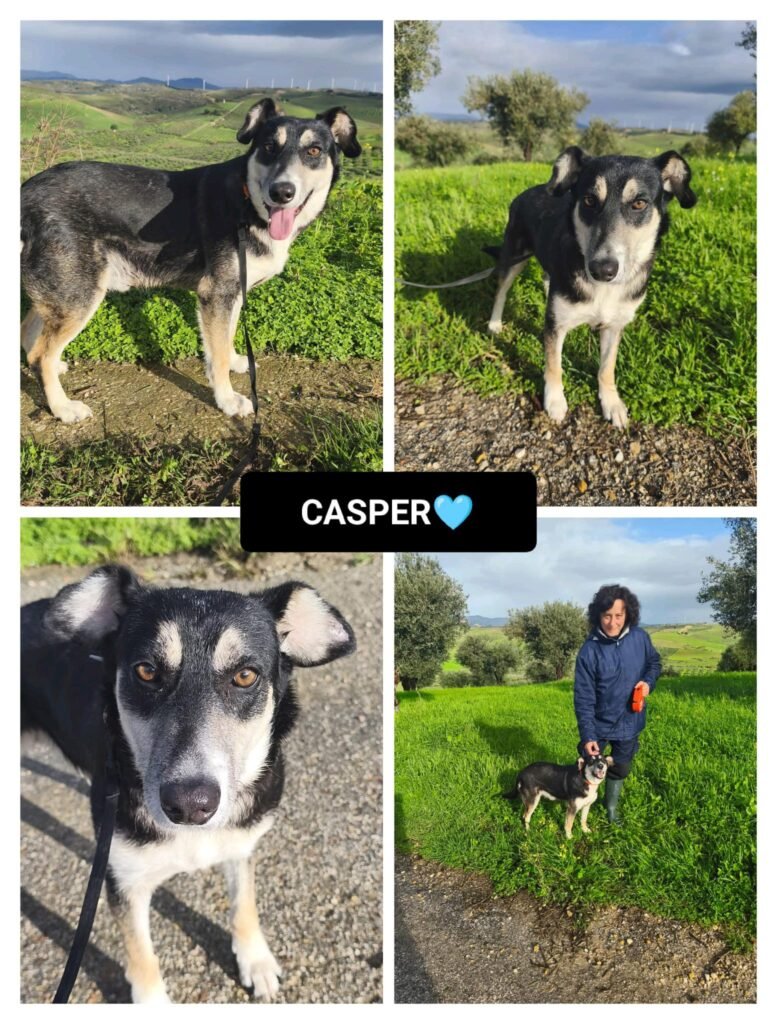 CASPER