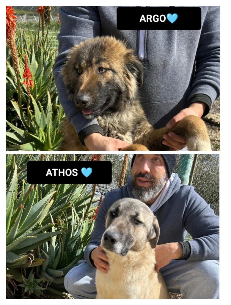 ARGO e ATHOS