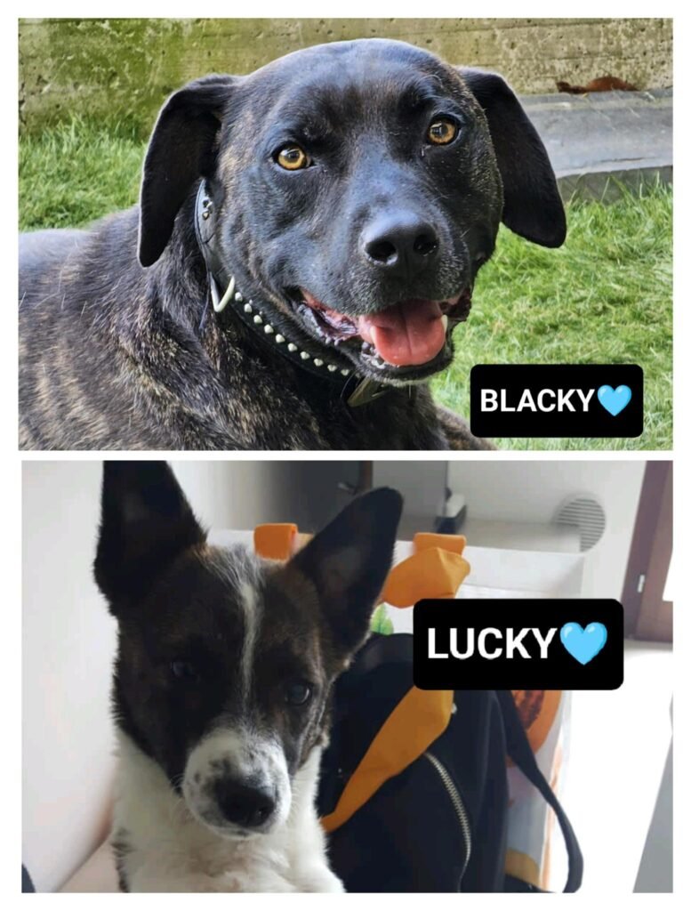 LUCKY E BLACKY