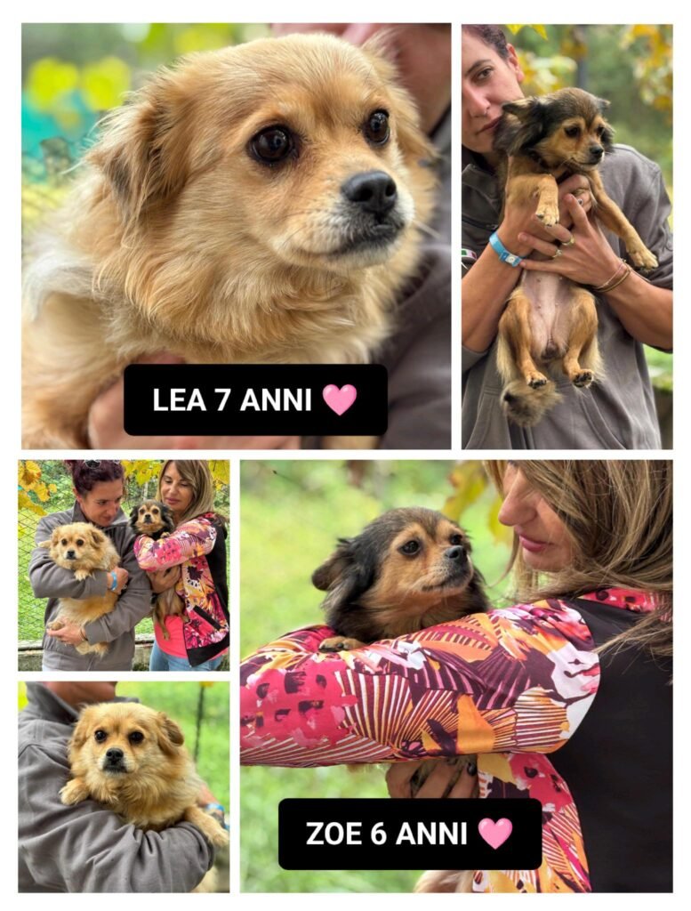 LEA E ZOE