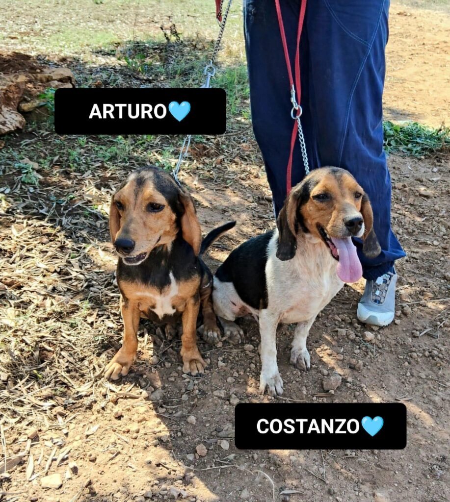 ARTURO E COSTANZO