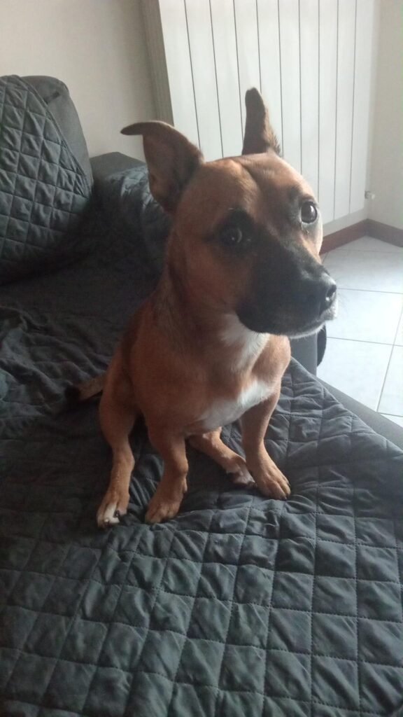 PABLO (JACK)