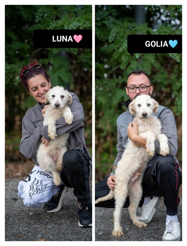LUNA E GOLIA