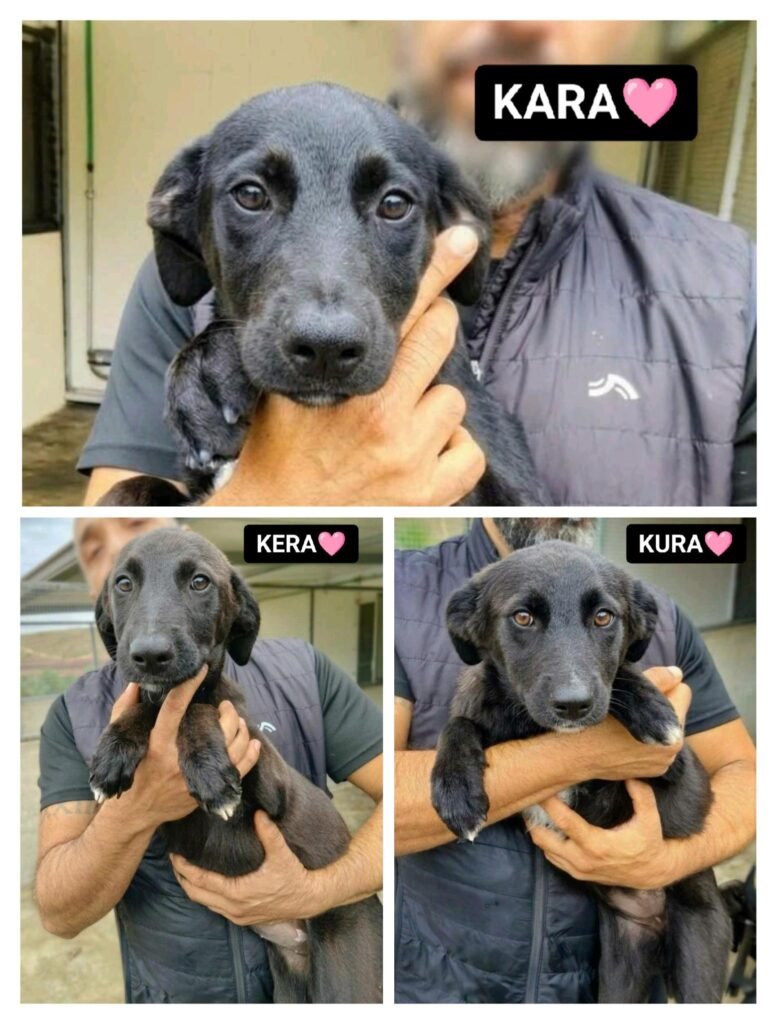 KURA, KARA E KERA